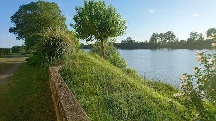 Gfa Des Vignobles Audigay, Vignoble à Saint-Sulpice-de-Faleyrens