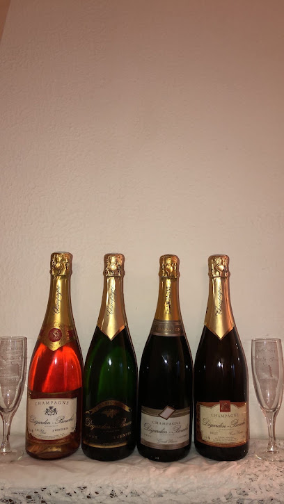 Champagne Dégardin-Bouché Vignoble à Venteuil