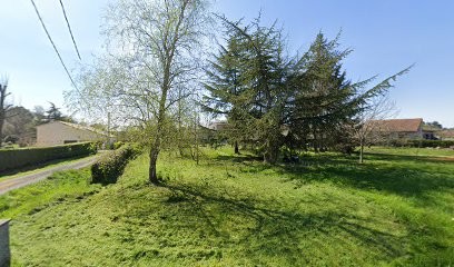 Haure Jany, Vignoble à Saint-Ciers-sur-Gironde