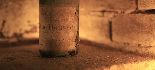 Champagne Louis Dousset, Vignoble à Mailly-Champagne