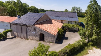 Vignoble De Rochanvigne, Vignoble à Vieillevigne