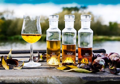 Cognac Pierre Lecat, Vignoble à Saint-Fraigne