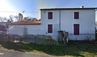 Château Mitaud, Vignoble à Saint-Morillon