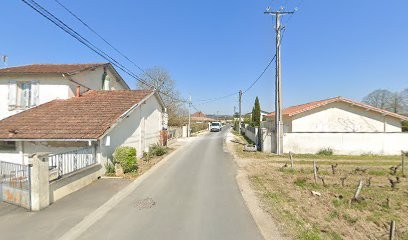 Château Guerin-Jacquet, Vignoble à Portets