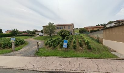Franck Large, Vignoble à Salles-Arbuissonnas-en-Beaujolais