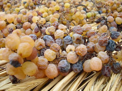 Domaine Champs Du Cellier, Vignoble à Saint-Julien-Maumont