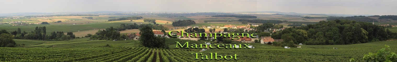 Champagne Manceaux-Talbot, Vignoble à Sermiers