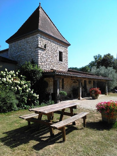 Vignoble Domaine de Chantelle, Vignoble à Caillac