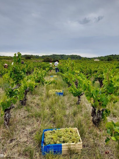 La Voute Du Verdus, Vignoble à Saint-Guilhem-le-Désert