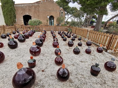 Domaine De La Plaine Muscat De Frontignan, Vignoble à Vic-la-Gardiole