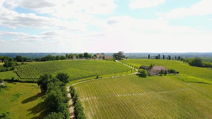 Château Labastide Orliac, Vignoble à Clermont-Soubiran