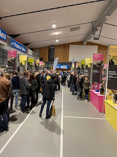 Loire aux 3 vignobles, Vignoble à Saint-Priest-en-Jarez