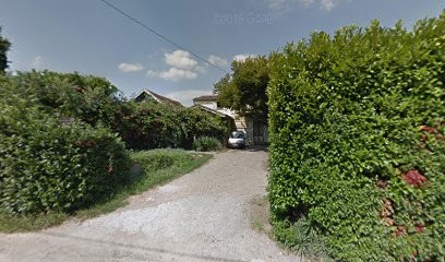 Pineaud Max, Vignoble à Sainte-Terre