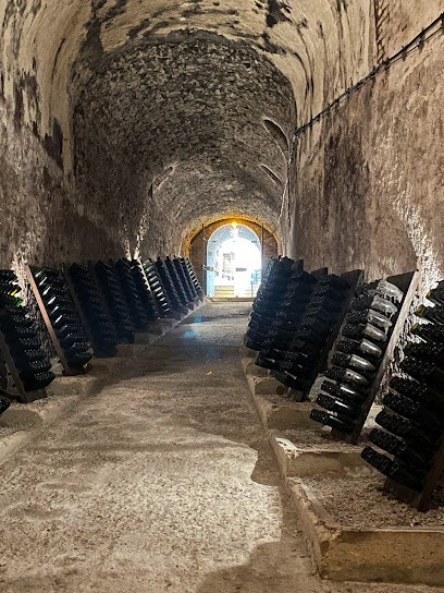 Champagne Philipponnat, Vignoble à Aÿ-Champagne