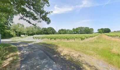 Château Haut Lambert, Vignoble à Saint-Christoly-de-Blaye