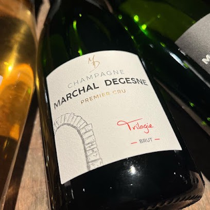 Champagne Marchal Degesne, Vignoble à Sacy