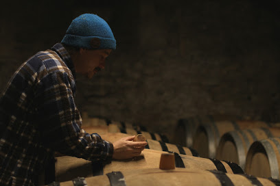 Domaine De Montaillant Vignoble à Chasnay