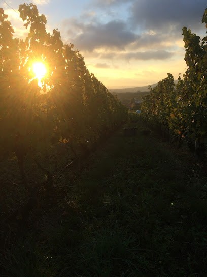 Domaine De L'Ambroisie, Vignoble à Toul