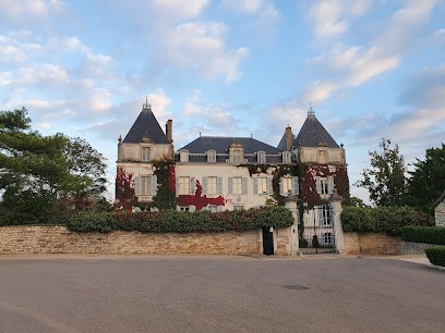 Chateau de Chamirey (SCEA), Vignoble à Mercurey
