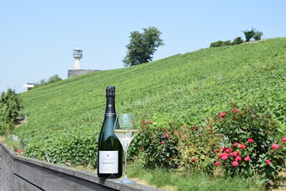 Champagne Jeangout, Vignoble à Rilly-la-Montagne