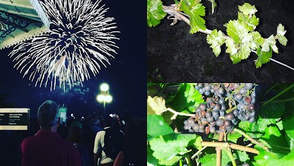 Viticulteur Muscadet Hervouet Didier à Saint Philbert De Grand Lieu Château Du Rocher, Vignoble à Saint-Philbert-de-Grand-Lieu