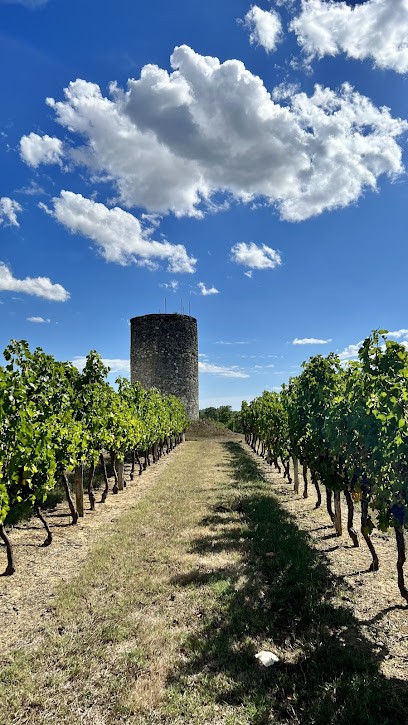 Vignobles Luro, Vignoble à Targon