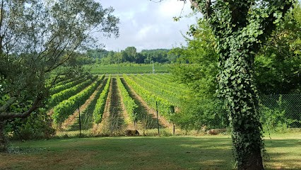 SCEA Des Vignobles Ricard, Vignoble à Sainte-Croix-du-Mont