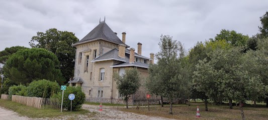 Château De Cruzeau, Vignoble à Saint-Médard-d'Eyrans