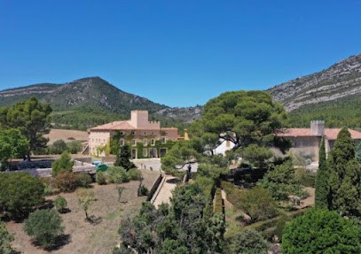 Château Argentiès, Vignoble à Lagrasse