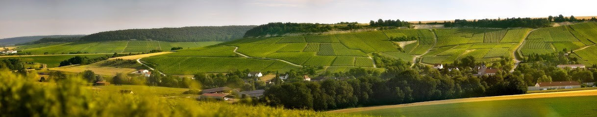 Champagne Drappier, Vignoble à Urville