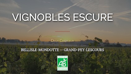 Vignobles Escure - Domaine viticole, Vignoble à Saint-Sulpice-de-Faleyrens