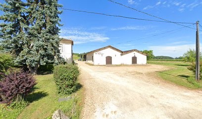 Château Les Arromans - Vignobles Joel Duffau, Vignoble à Moulon