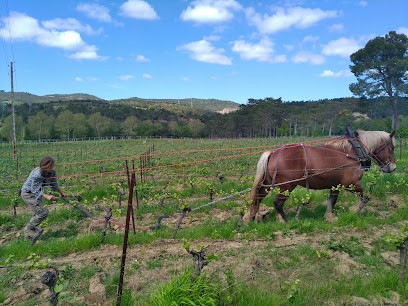 Domaine Du Grès Vaillant, Vignoble à Saint-Polycarpe