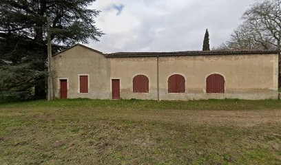 Château Saint-Jérôme, Vignoble à Ayguemorte-les-Graves