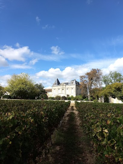 Château Tour Caillet, Vignoble à Génissac