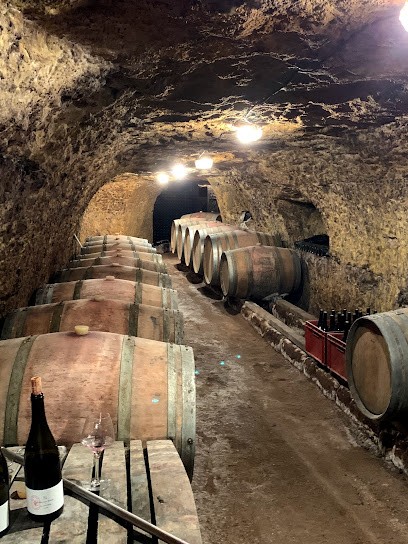 Domaine de la Renière, René-Hugues Gay, Vignoble au Puy-Notre-Dame