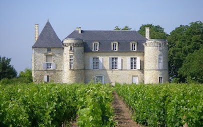 Château de Lescours, Vignoble à Saint-Sulpice-de-Faleyrens