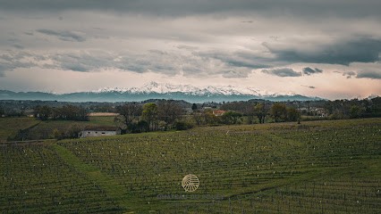 Château Du Pouey, Vignoble à Viella
