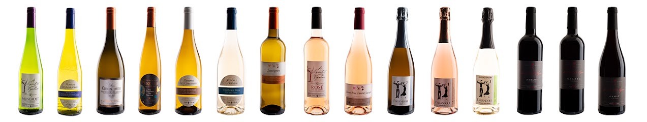 Vignoble Corbineau, Vignoble à Pont-Saint-Martin