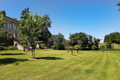 Château La Caussade, Vignoble à Vayres