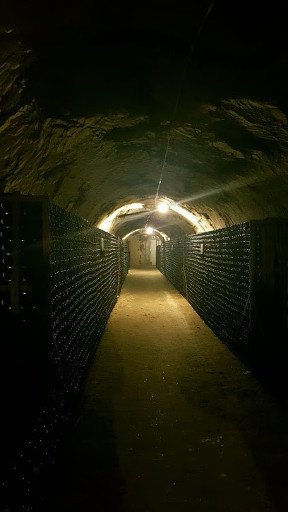 Champagne Georges Vesselle, Vignoble à Bouzy