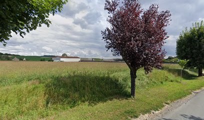 Marcoult Marc, Vignoble à Barbonne-Fayel