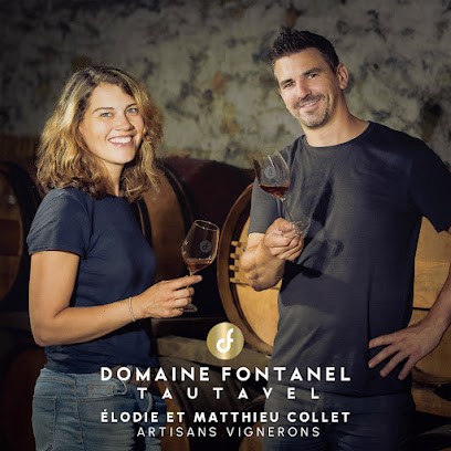 Domaine Fontanel, Vignoble à Tautavel