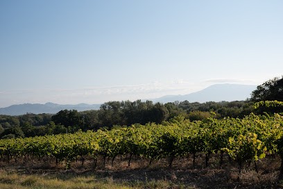 Domaine De Gigognan, Vignoble à Sorgues