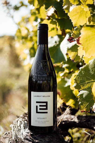 Vins Laurent Bellion - Domaine Viticole Séguret, Vignoble à Séguret