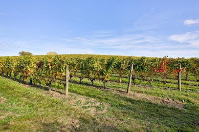 Domaine De L'Ours Bleu | Vin Saumur, Vignoble à Montsoreau