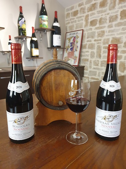 Domaine Frederic Trichard, Vignoble à Saint-Lager