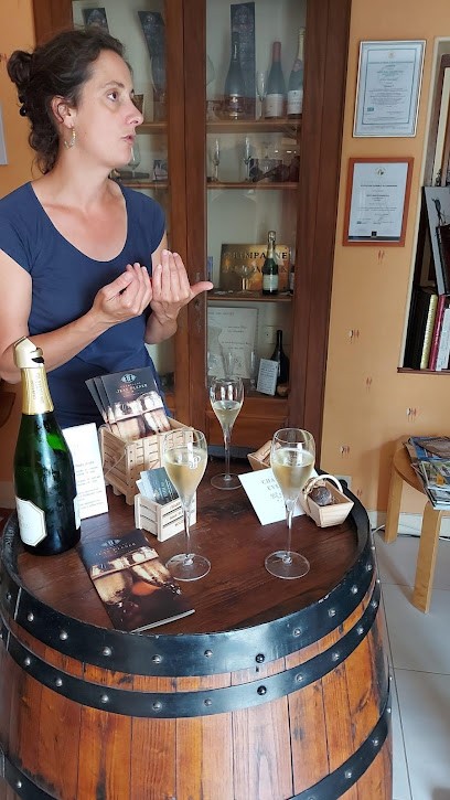 Scev Jean Plener Fils, Vignoble à Bouzy