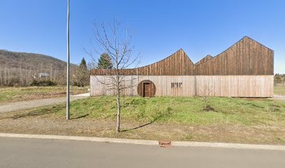 No Control - Vincent MARIE, Vignoble à Volvic