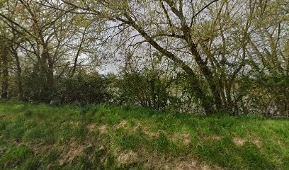Xans Bernard, Vignoble à Saint-Sulpice-de-Faleyrens